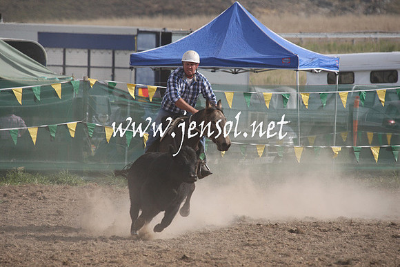 BombalaCampdraft2013Sat_0929