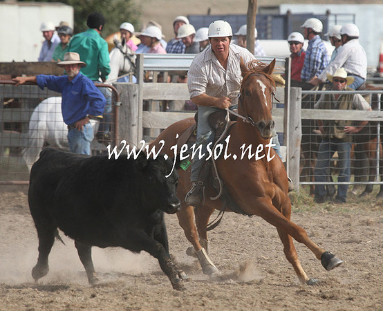 BombalaCampdraft2013Sat_0869
