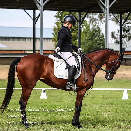 ANMS2018_1619