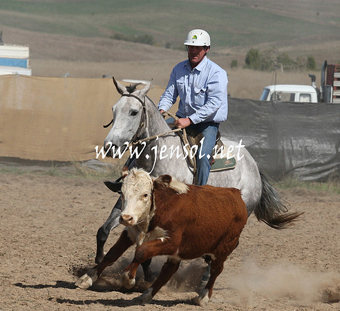 BombalaCampdraft2013Sat_0584