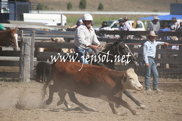 BombalaCampdraft2013Sat_0498