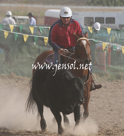 BombalaCampdraft2013Sat_0992