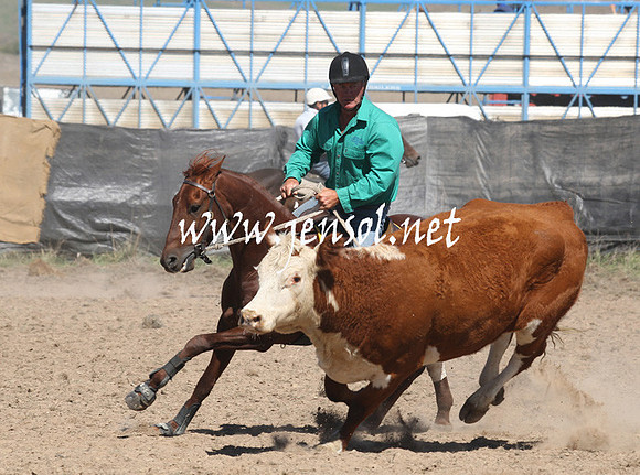 BombalaCampdraft2013Sat_0402