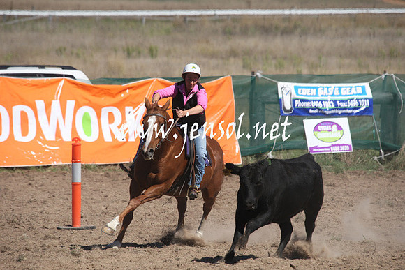 BombalaCampdraft2013Sat_0304