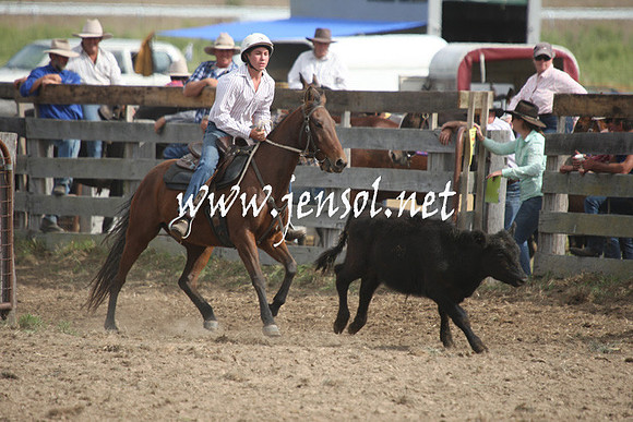 BombalaCampdraft2013Sat_0723