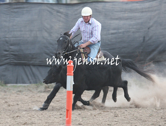BombalaCampdraft2013Sat_1321