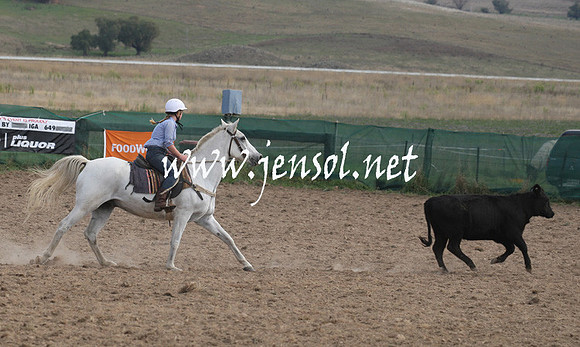 BombalaCampdraft2013Sat_0708