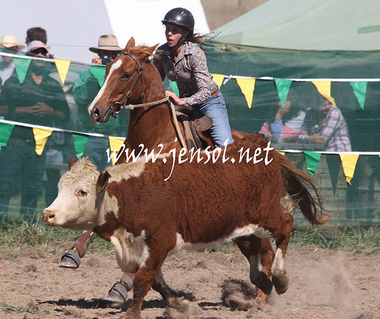 BombalaCampdraft2013Sat_0209