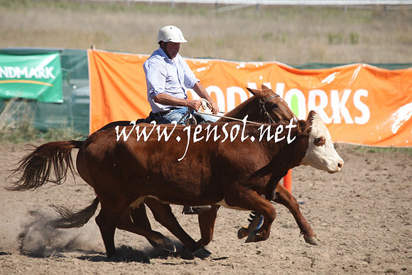 BombalaCampdraft2013Sat_0423