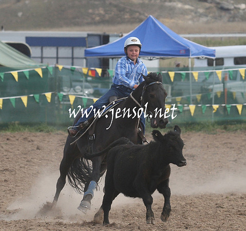 BombalaCampdraft2013Sat_0687
