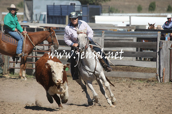 BombalaCampdraft2013Sat_0313
