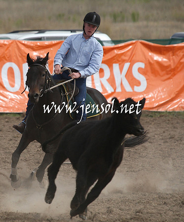 BombalaCampdraft2013Sat_0716