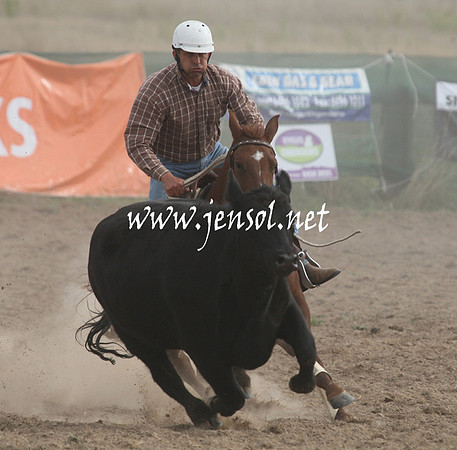 BombalaCampdraft2013Sat_0839