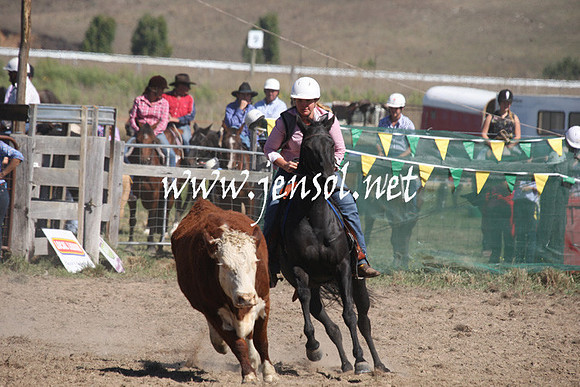 BombalaCampdraft2013Sat_0452