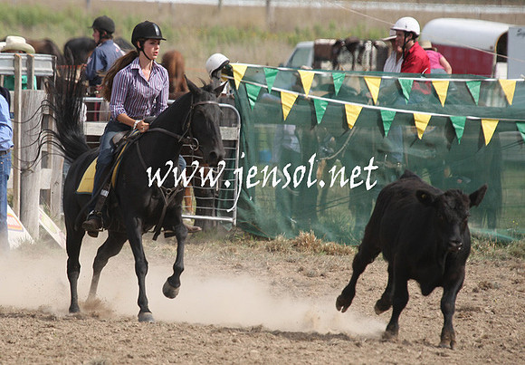 BombalaCampdraft2013Sat_0750