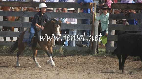 BombalaCampdraft2013Sat_0641