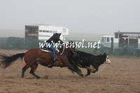 BombalaCampdraft2013Sat_0064