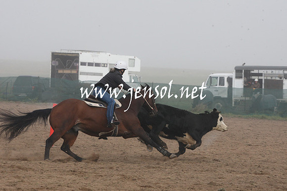 BombalaCampdraft2013Sat_0064
