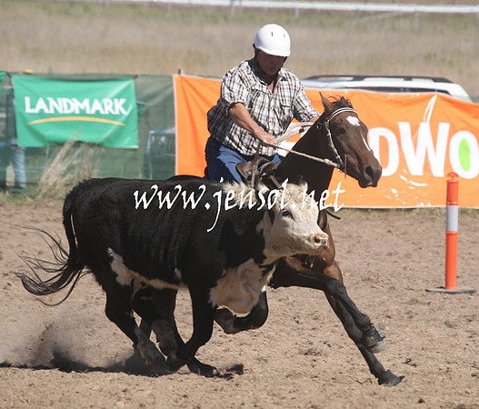 BombalaCampdraft2013Sat_0295