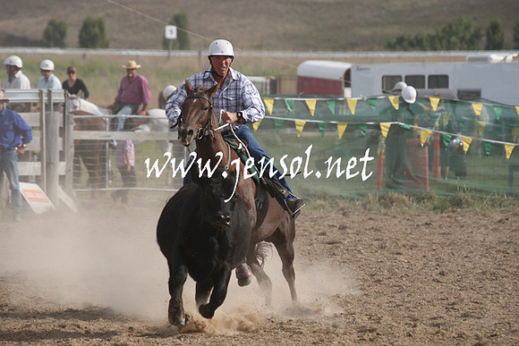 BombalaCampdraft2013Sat_0928
