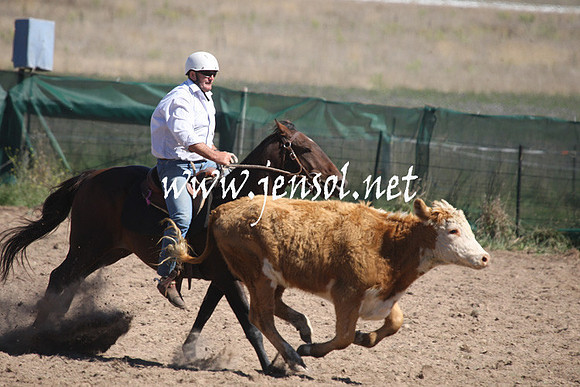 BombalaCampdraft2013Sat_0382