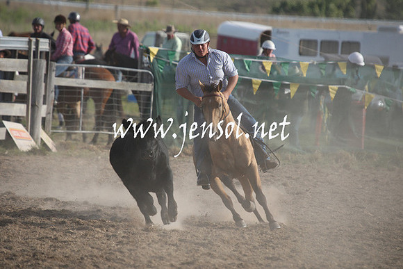 BombalaCampdraft2013Sat_1130