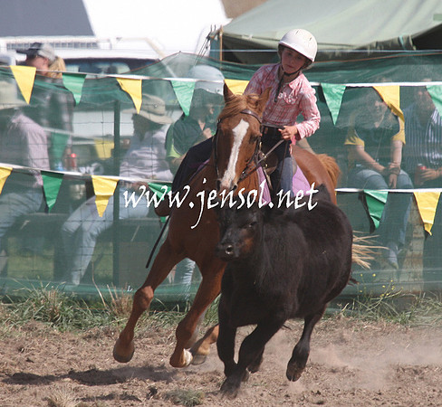 BombalaCampdraft2013Sat_0607