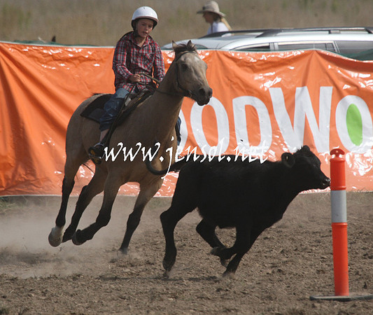 BombalaCampdraft2013Sat_0663