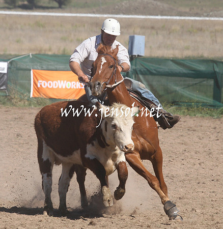BombalaCampdraft2013Sat_0236