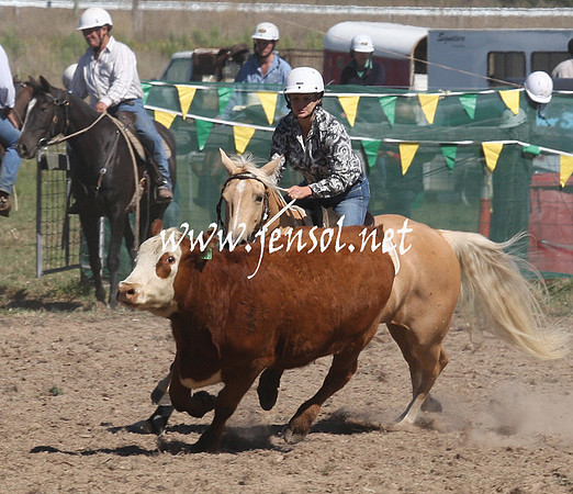 BombalaCampdraft2013Sat_0385