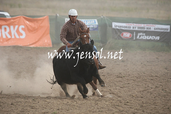 BombalaCampdraft2013Sat_0840