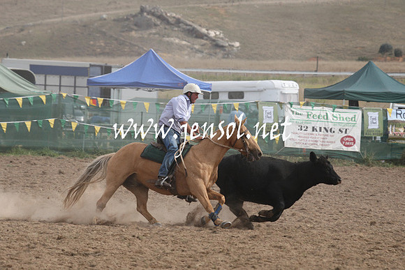 BombalaCampdraft2013Sat_0829