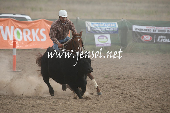 BombalaCampdraft2013Sat_0838