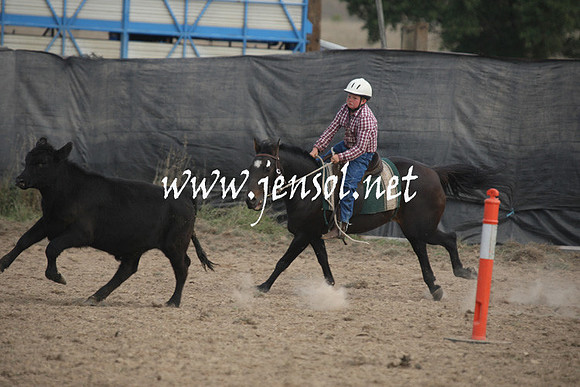 BombalaCampdraft2013Sat_0704