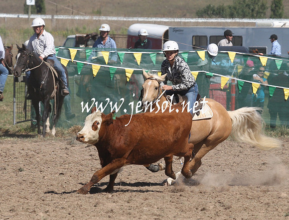 BombalaCampdraft2013Sat_0384