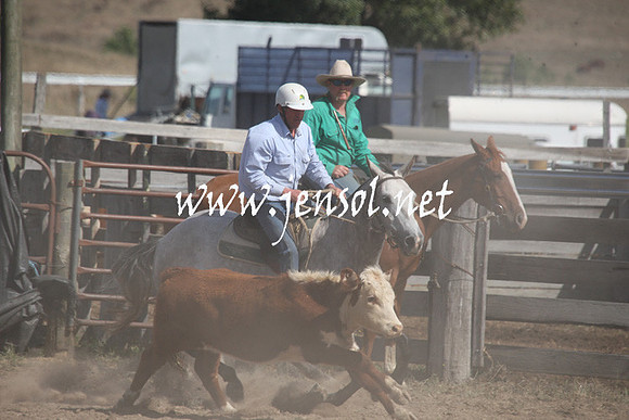 BombalaCampdraft2013Sat_0576