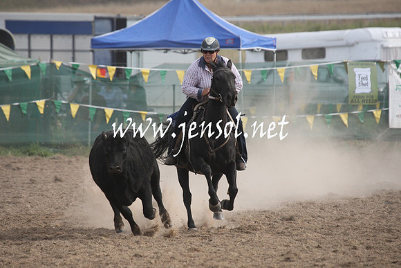 BombalaCampdraft2013Sat_0855