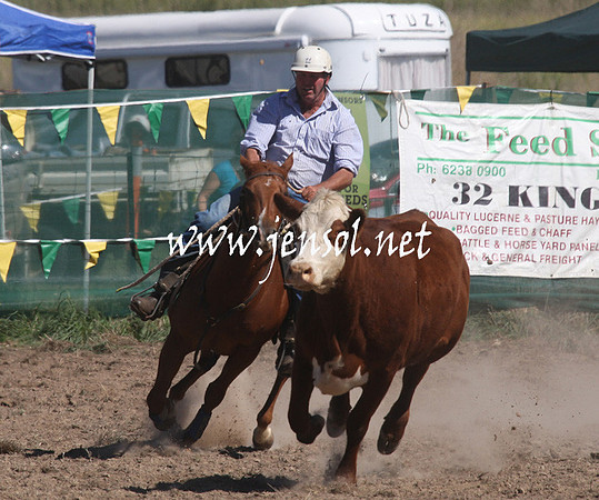 BombalaCampdraft2013Sat_0411