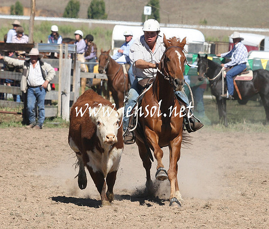 BombalaCampdraft2013Sat_0224