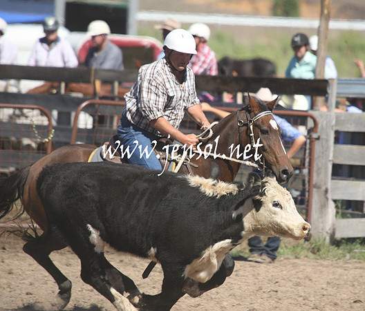 BombalaCampdraft2013Sat_0291