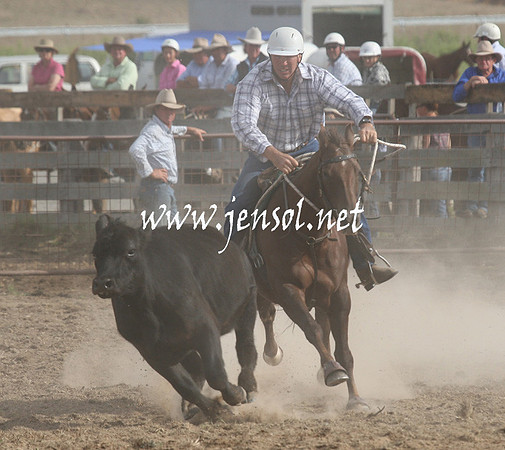 BombalaCampdraft2013Sat_0923