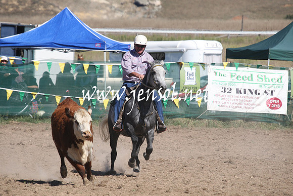 BombalaCampdraft2013Sat_0322