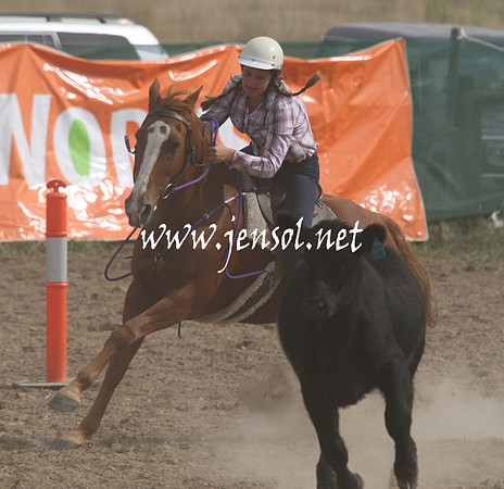 BombalaCampdraft2013Sat_0732