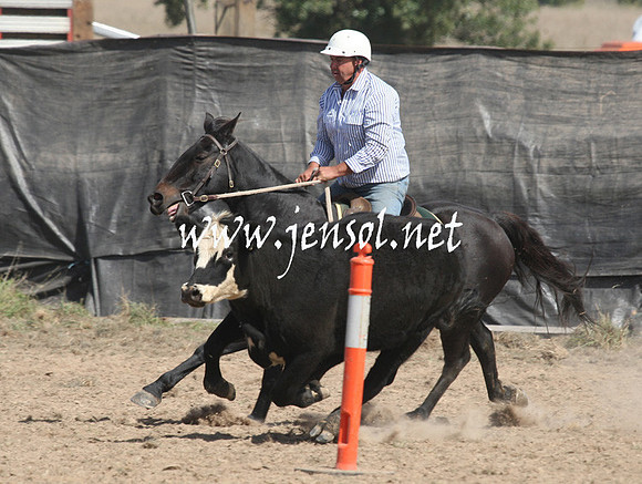 BombalaCampdraft2013Sat_0560