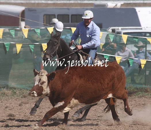 BombalaCampdraft2013Sat_0506