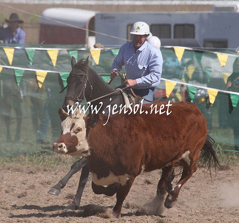 BombalaCampdraft2013Sat_0507