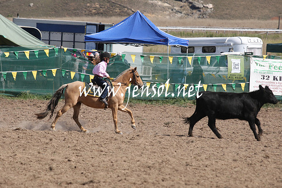 BombalaCampdraft2013Sat_0591