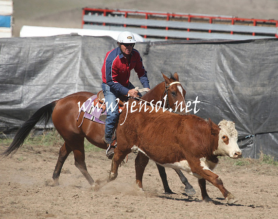 BombalaCampdraft2013Sat_0157