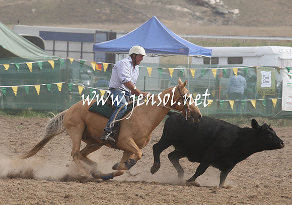 BombalaCampdraft2013Sat_0828