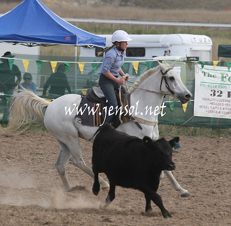 BombalaCampdraft2013Sat_0712